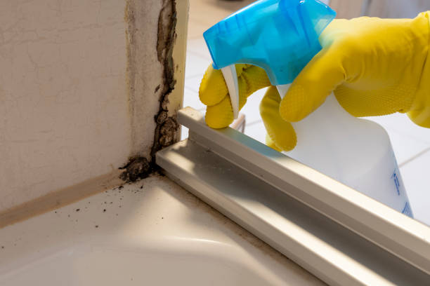 Best Crawl Space Mold Removal  in Wilson, WY