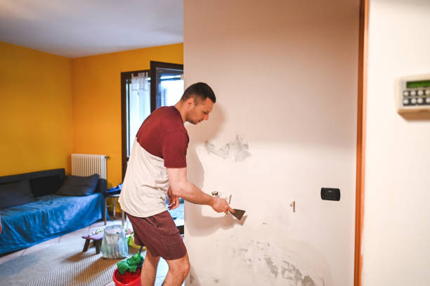 Best Professional Mold Removal  in Wilson, WY