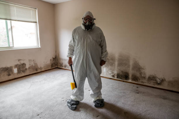 Best Fast Mold Removal  in Wilson, WY